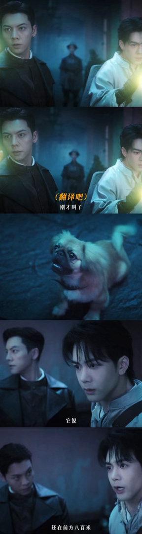 九门汪汪队立大功 吴家的狗没有一个孬种！在👖看着三寸钉努力搬运子弹的样子心都要