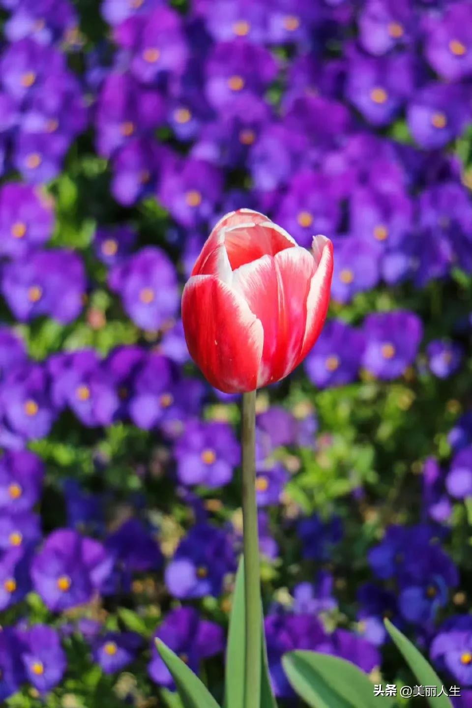 手机每天随手拍人一旦历练到不想说话，不想争辩，不想巴结，不想讨好任何人，失去交友
