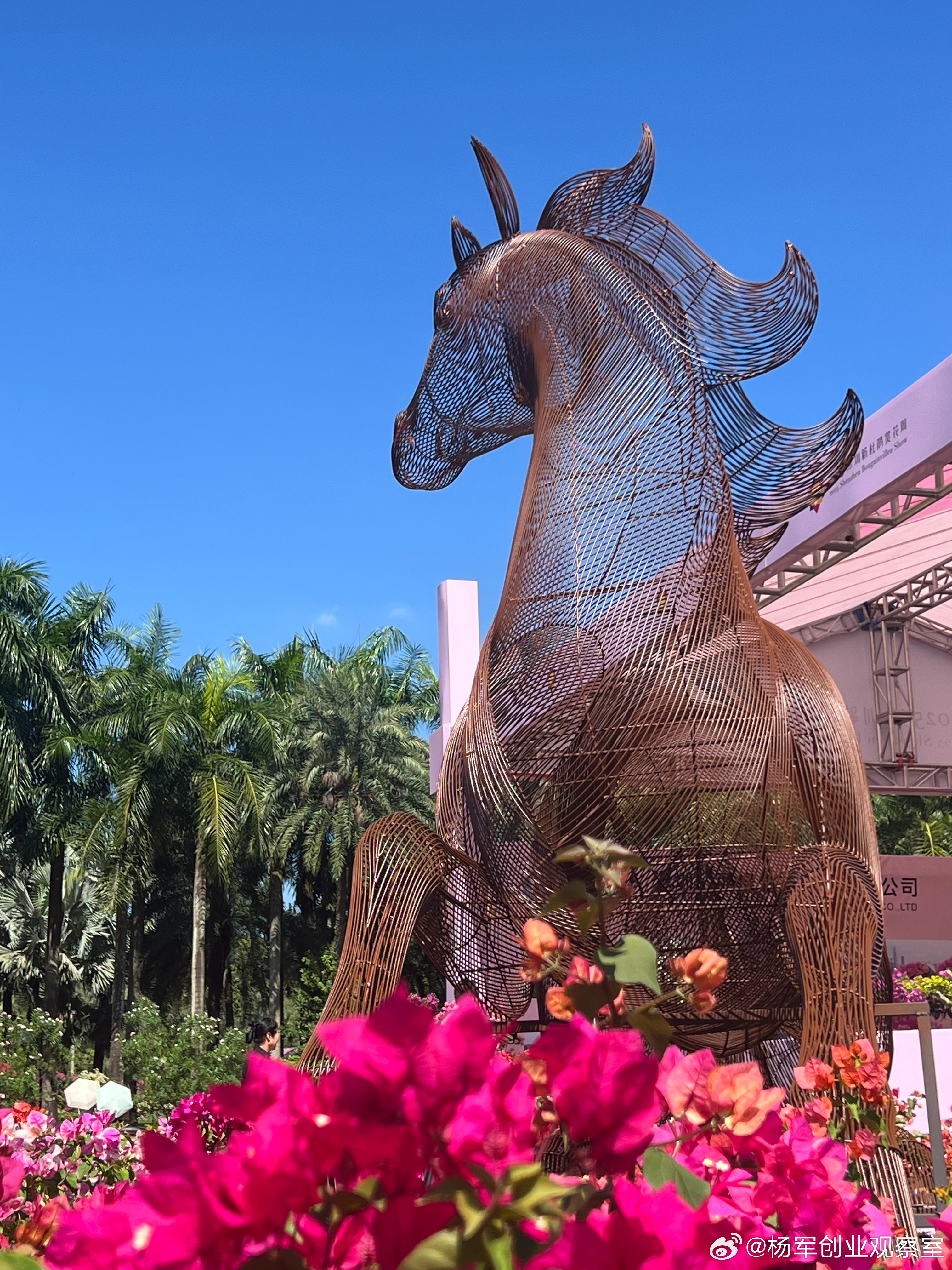 企业的生存压力越来越大，只有把自己做强做大积累更多的资本，才能真正地对抗各种不确