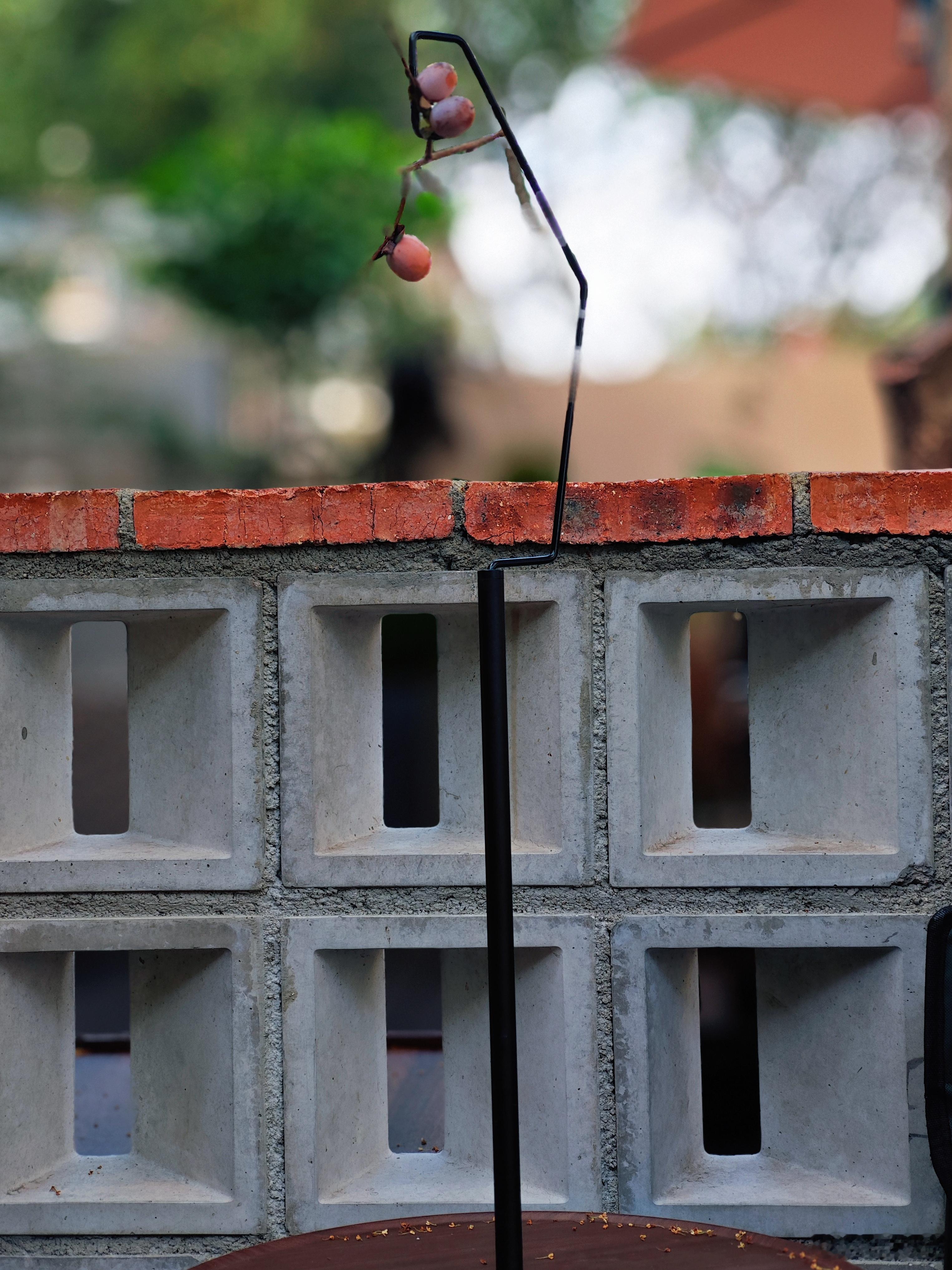 每年最后一个月到来，我总会生出种奇妙的心情。因为到了尾声，对生活便多了几分微妙的