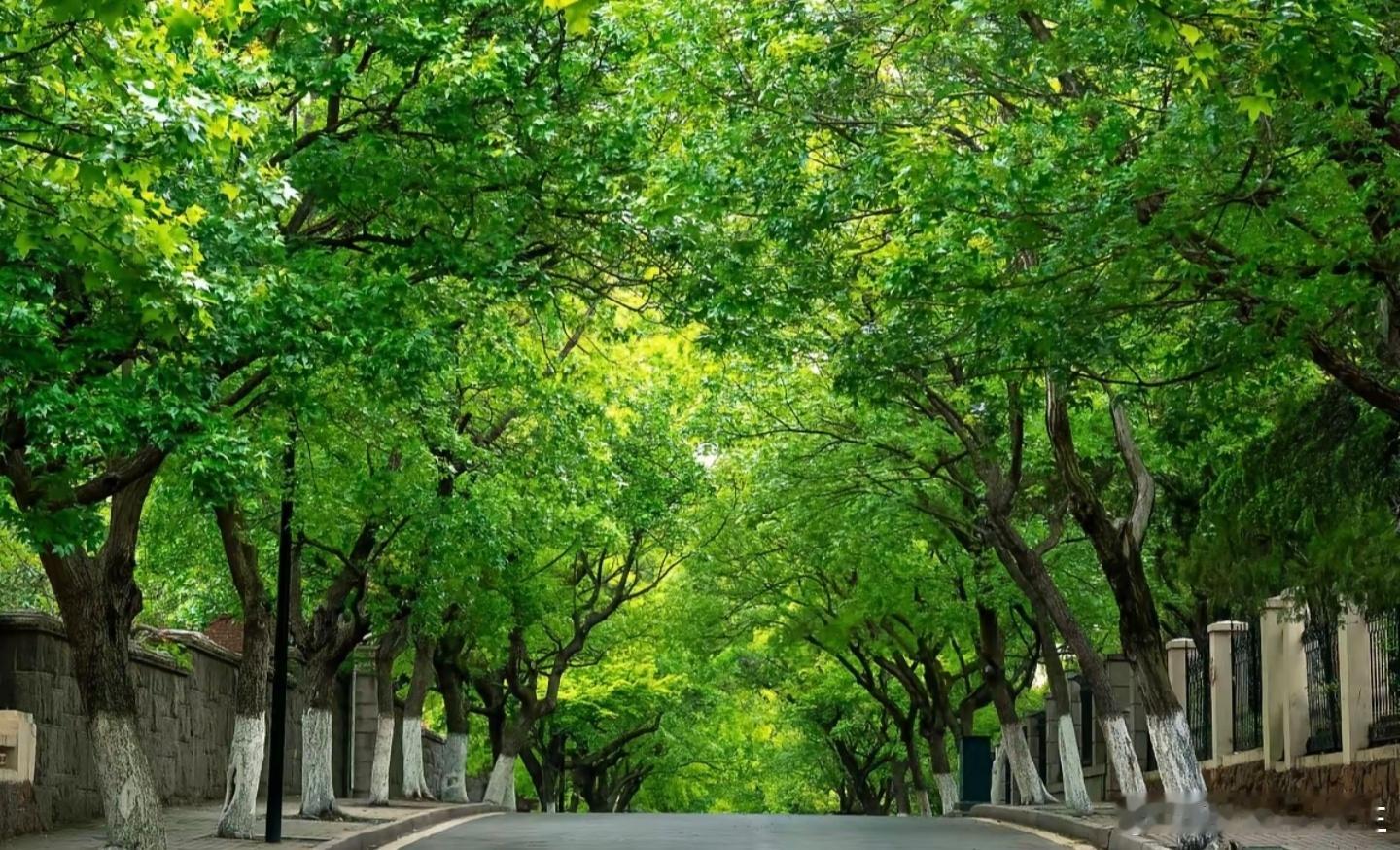 太惨痛了！大A昨日才突破3900点，站上近10年新高，今天就被一根大阴线砸下来！