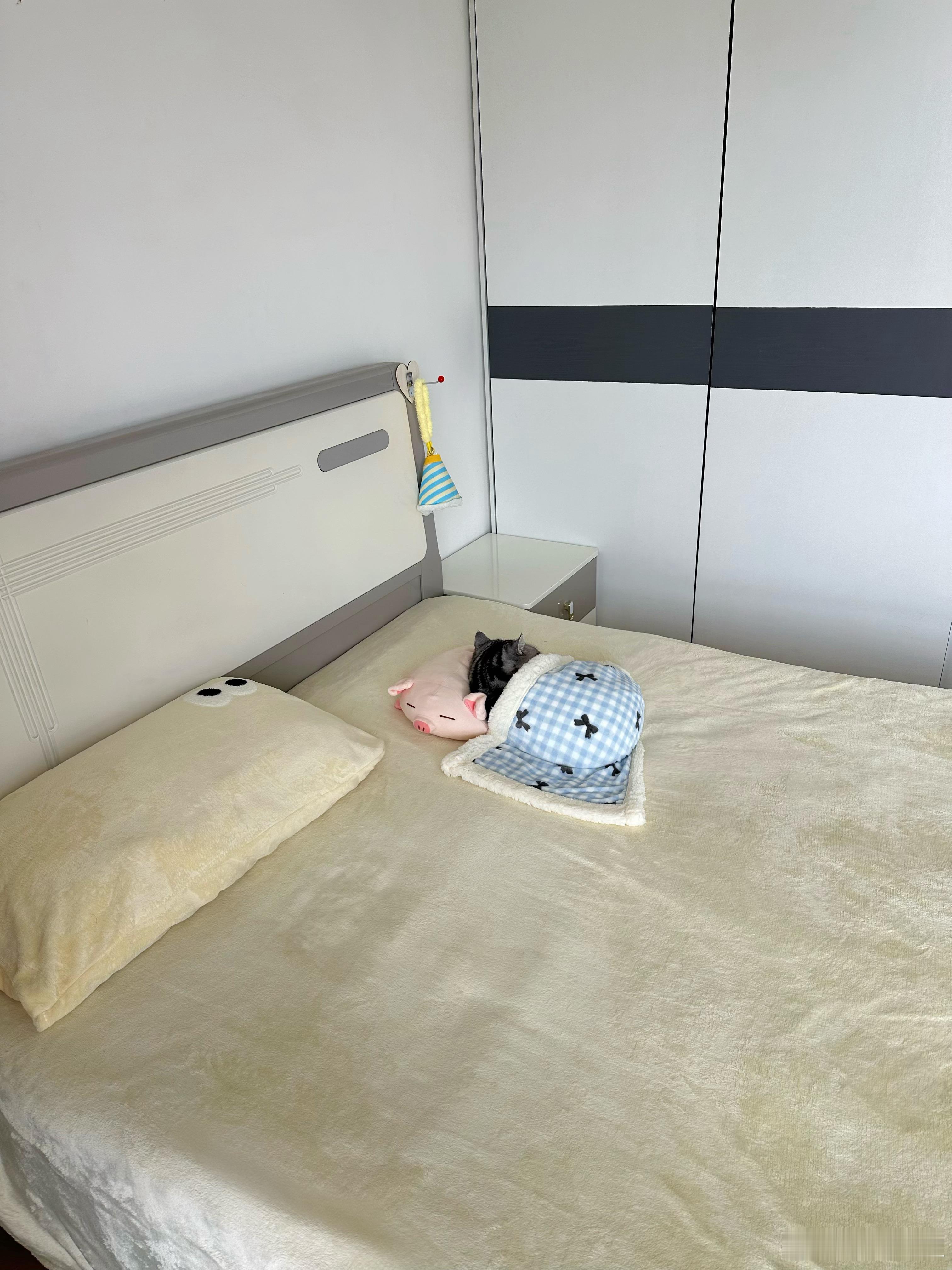 电热毯的受益咪 