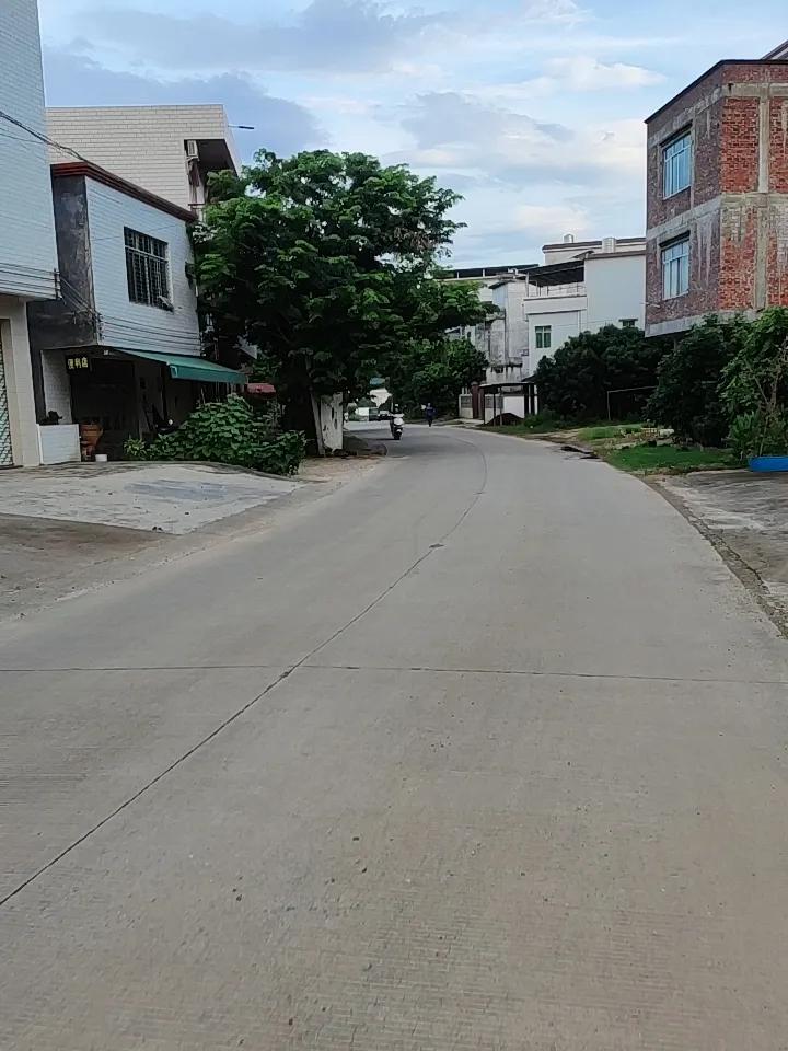 乡下路上的风景，那简直是城市里看不到的宝藏！江浙沪有5条超美的乡村公路，7月自驾