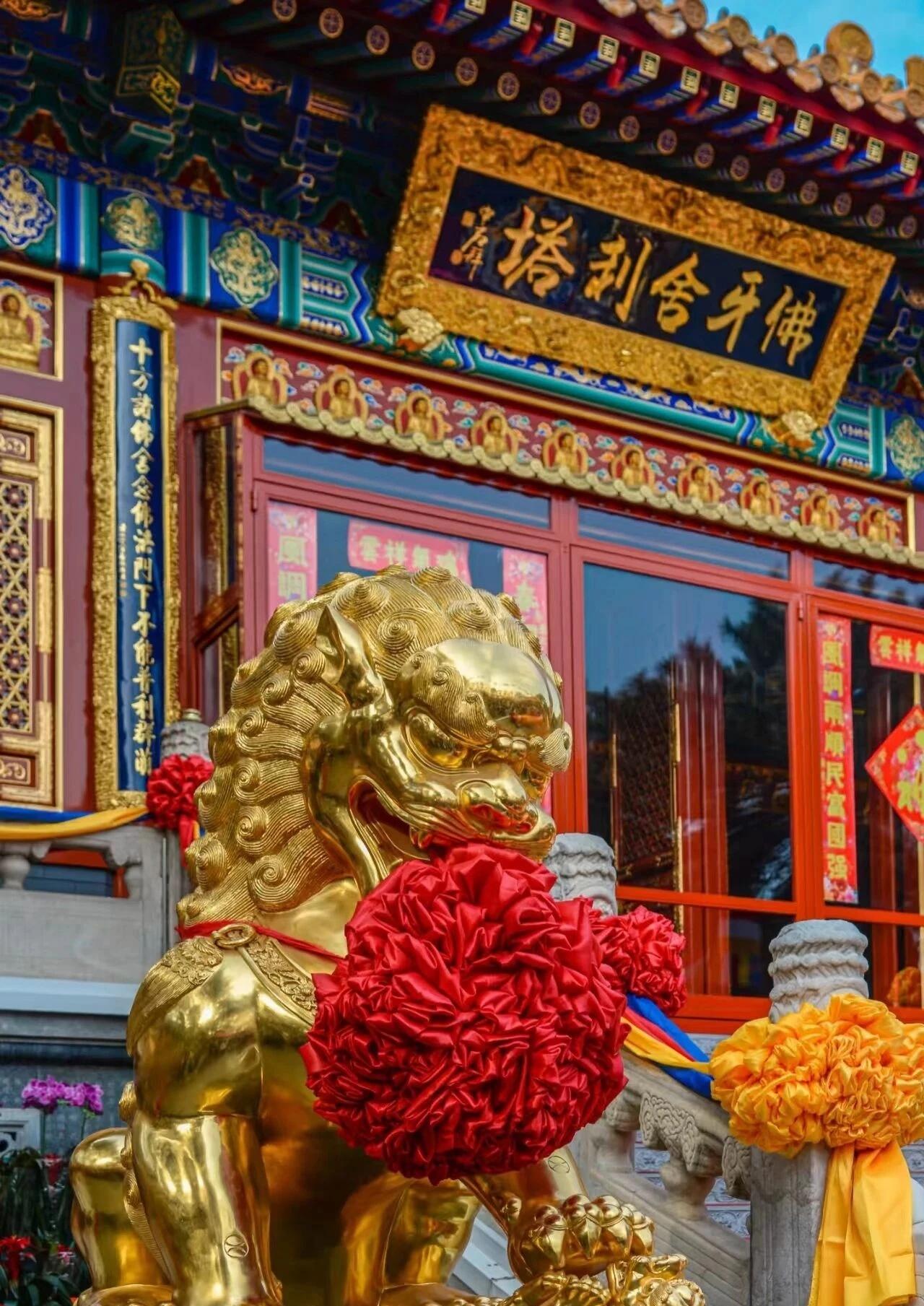 泰国国王携王后北京拜舍利！
 
11月15日上午，泰国十世王玛哈·哇集拉隆功带着