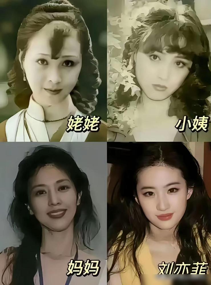 要说刘亦菲一家的颜值，真的是没法用语言形容，这一家真的是太漂亮了，尤其是刘亦菲的