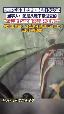 “这也太吓人了！”广西河池，男子去景区坐滑道，坐一半感觉有东西从身下穿过去了，他