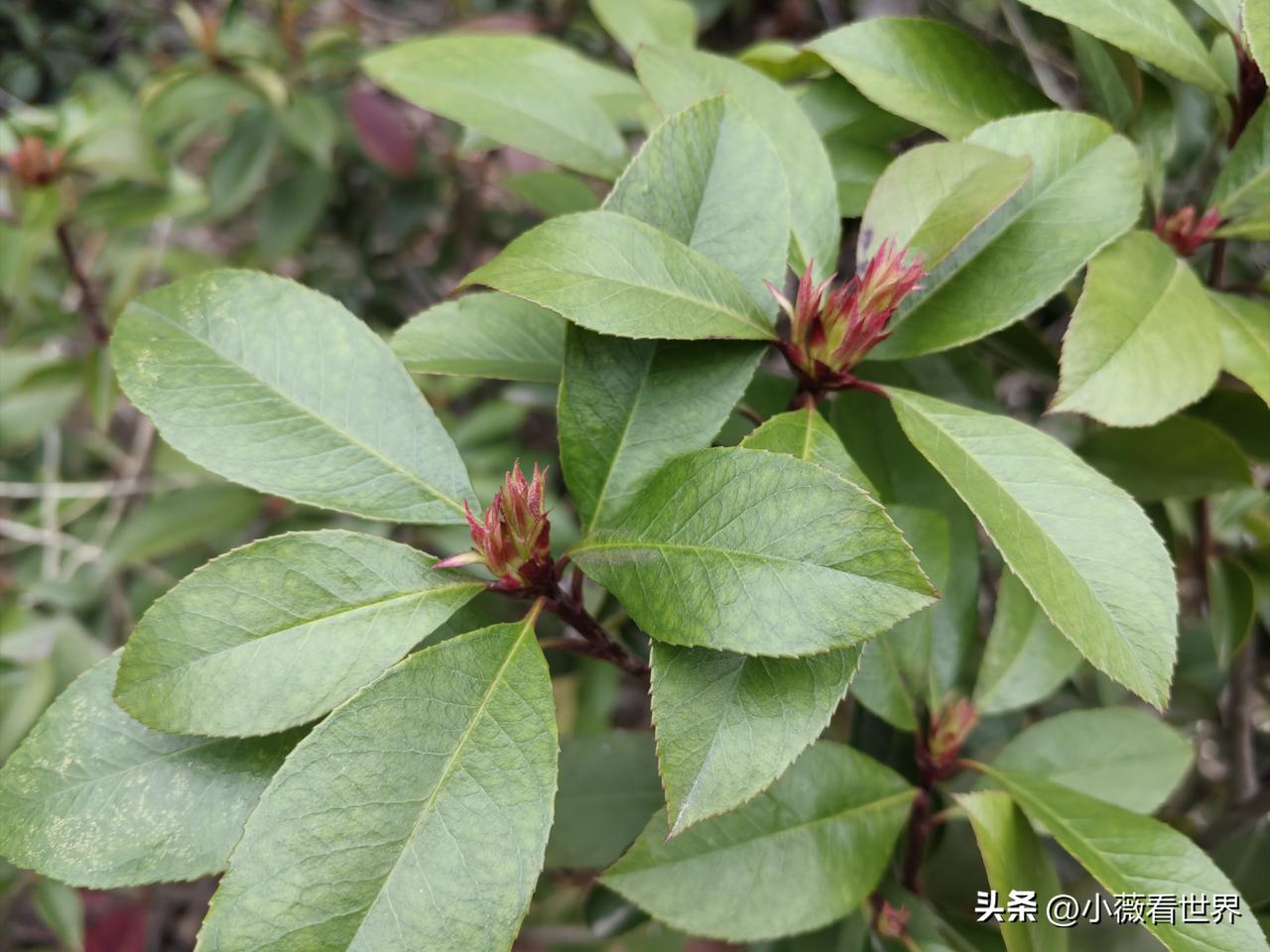 我们这里有个男人，最近和妻子冷战快半个月了，什么原因呢？

原来是去年忙了一年，