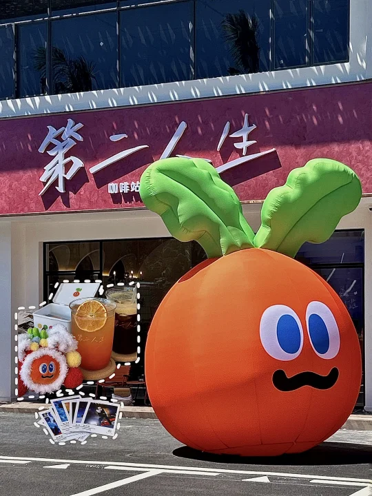 珠海的wmls都在哪兒🥕