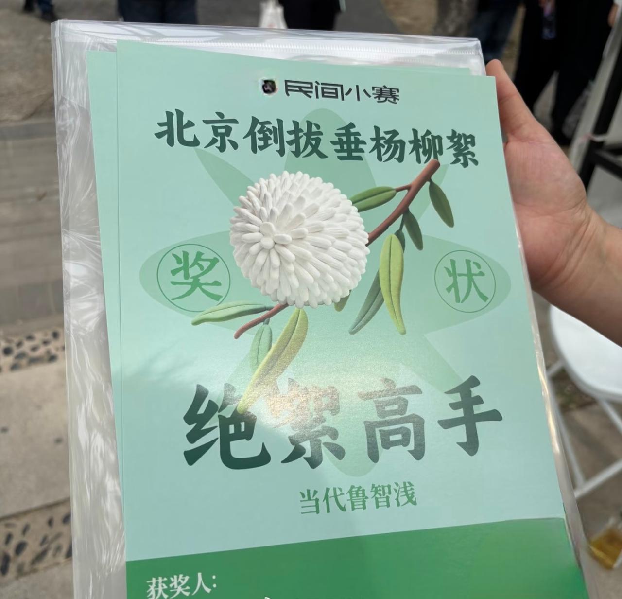 北京人苦柳絮久亦，举办了倒拔垂杨柳大赛
​（飞絮主要是杨树和柳树的雌株发出的种子