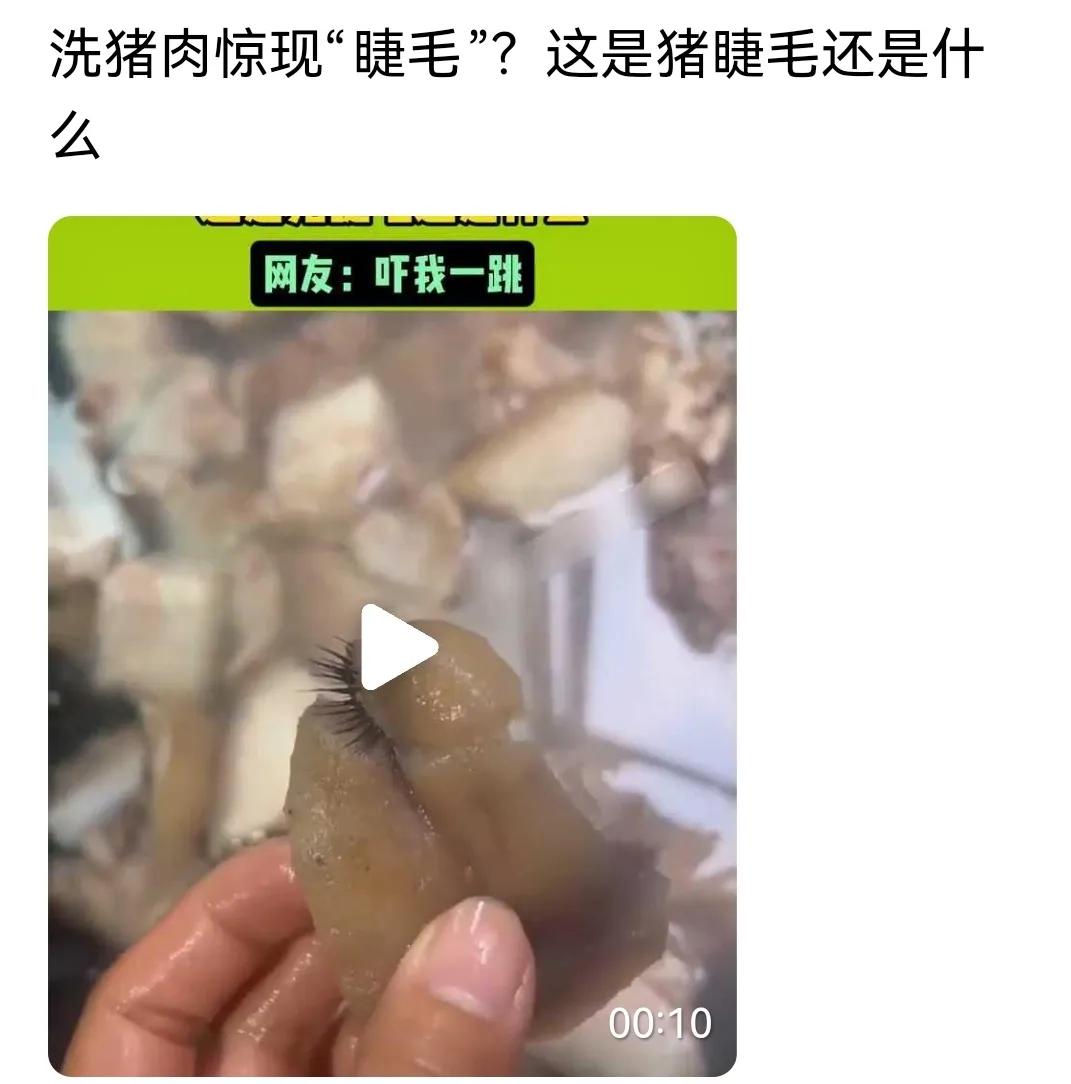 #洗猪肉现“睫毛”？网友在线求助#
猪肉上面有睫毛，
细看原来是猪脚。
去掉其实