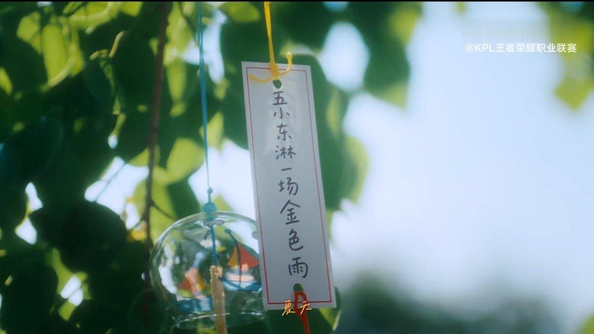 宝宝🥺