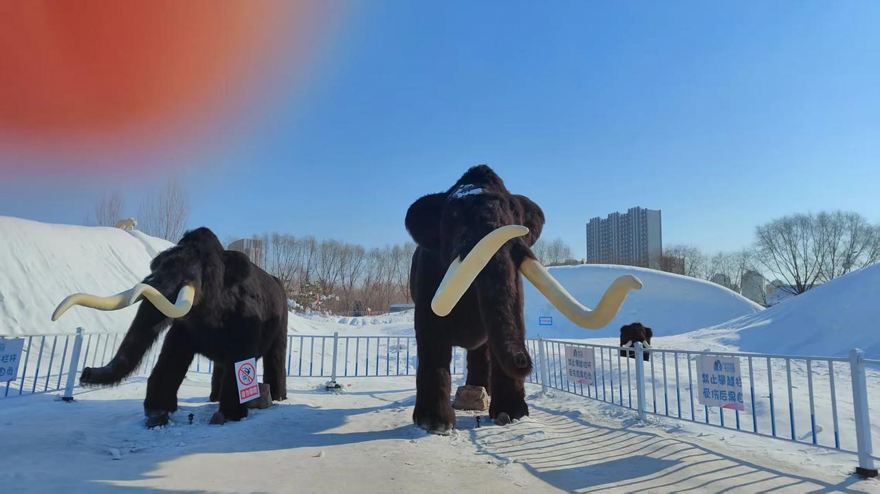 随着哈尔滨冰雪旅游的爆火，也带动了东北和周边地区的冬日繁华，凡是有冰有雪的地方就