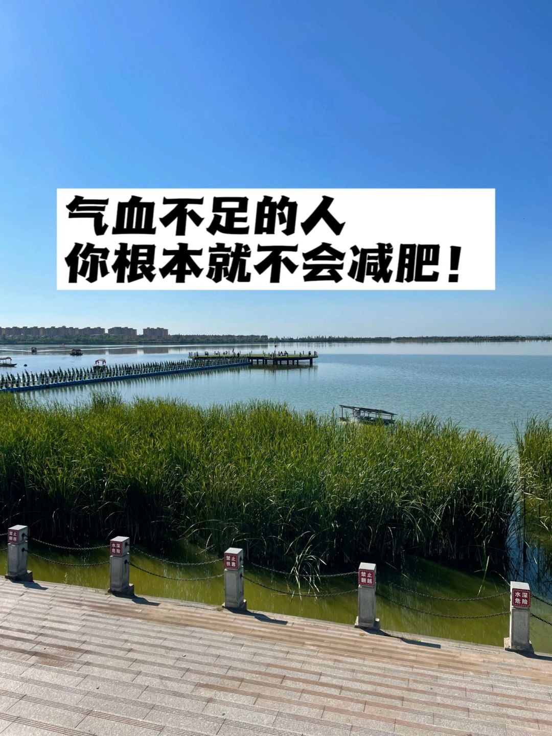 气血不足的人，你根本就不会减肥.