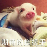 银娃热品科技