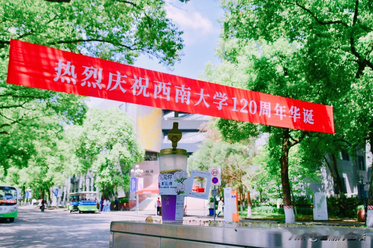 作为在西大待了4年的老学长，从考研时凌晨的第一杯提神茶饮，到和朋友在樟树林旁茶小