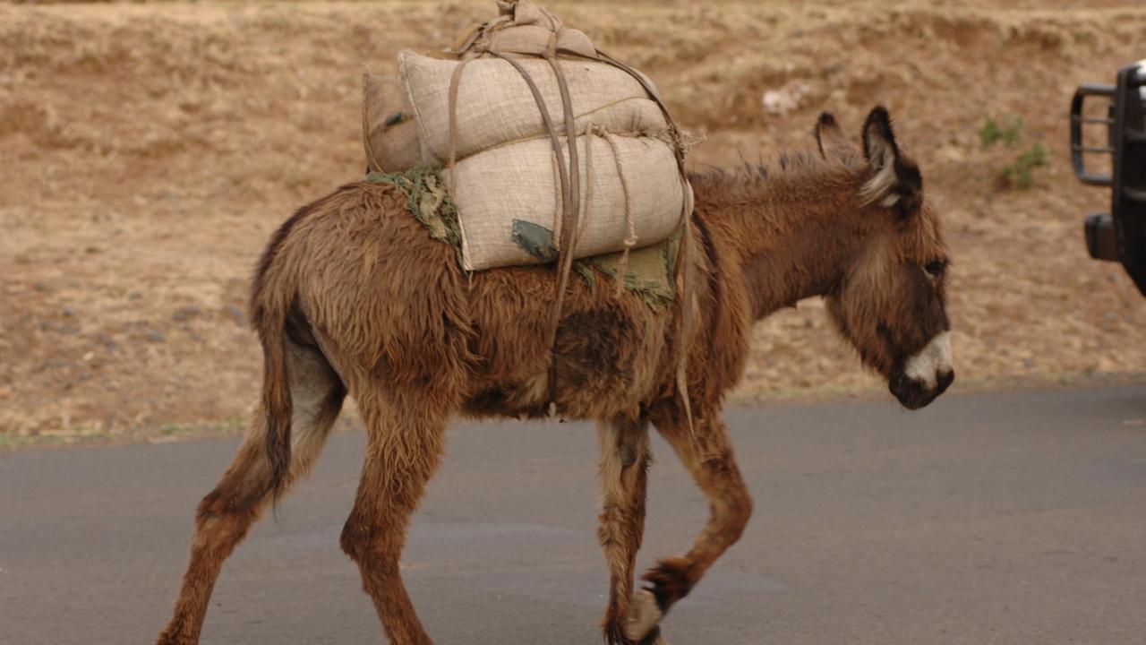 中东增兵：谁在行动，谁在观望
已确认派兵2
计划或考虑中3+
北约拒战成员国31