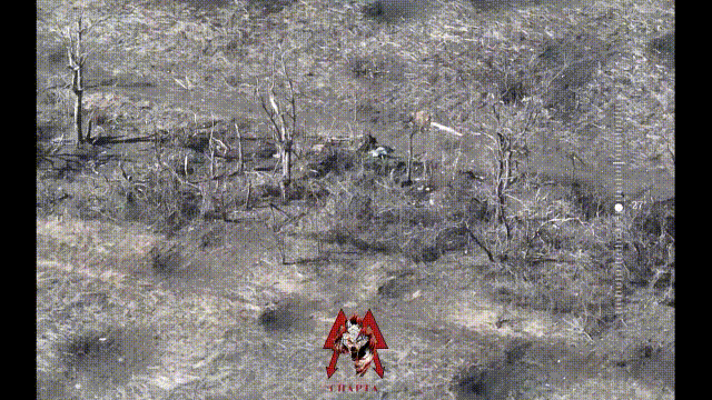 4月10日，俄罗斯联军“斯巴达营”发射了十多架FPV自杀式穿越机，成功的打击了乌