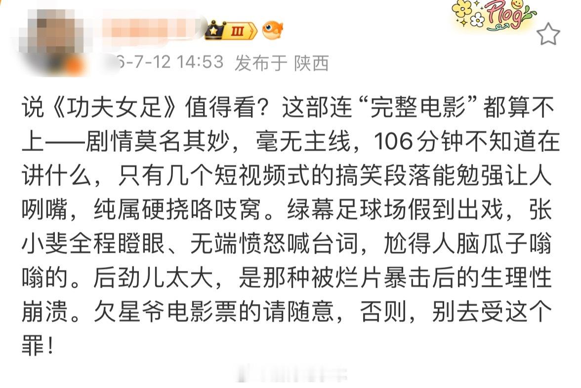 正打算去看星爷的《功夫女足》呢，看到了这段评论…. 有点纠结。有看过的吗？剧情如