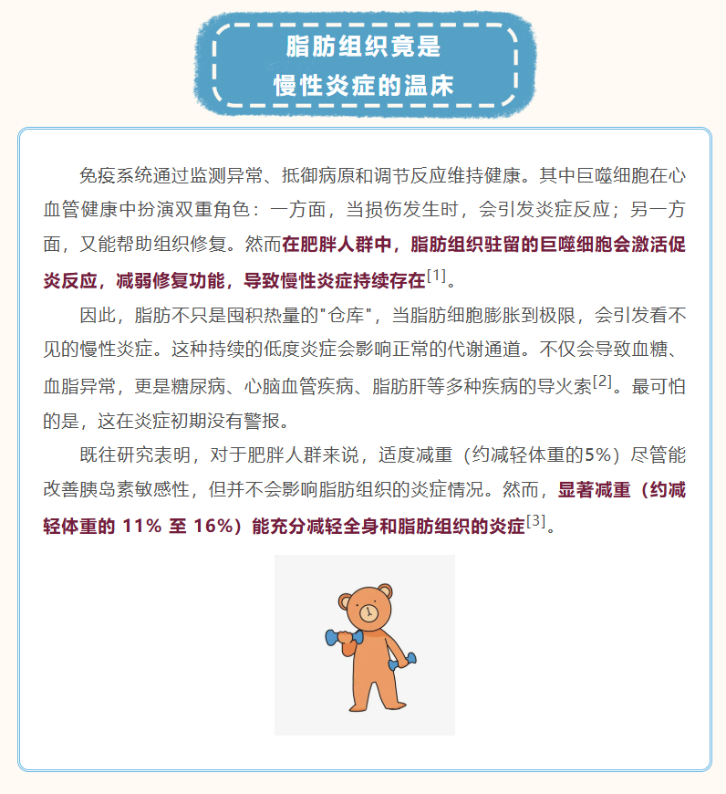 北京专家说脂肪堆积易诱发全身炎症肥胖人群脂肪细胞持续释放的炎症因子，正悄然破坏着