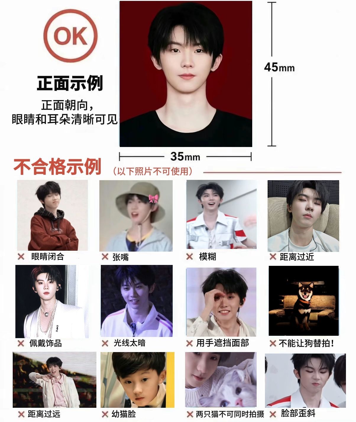 小猫拍证件照的注意事项😼 ​​​
