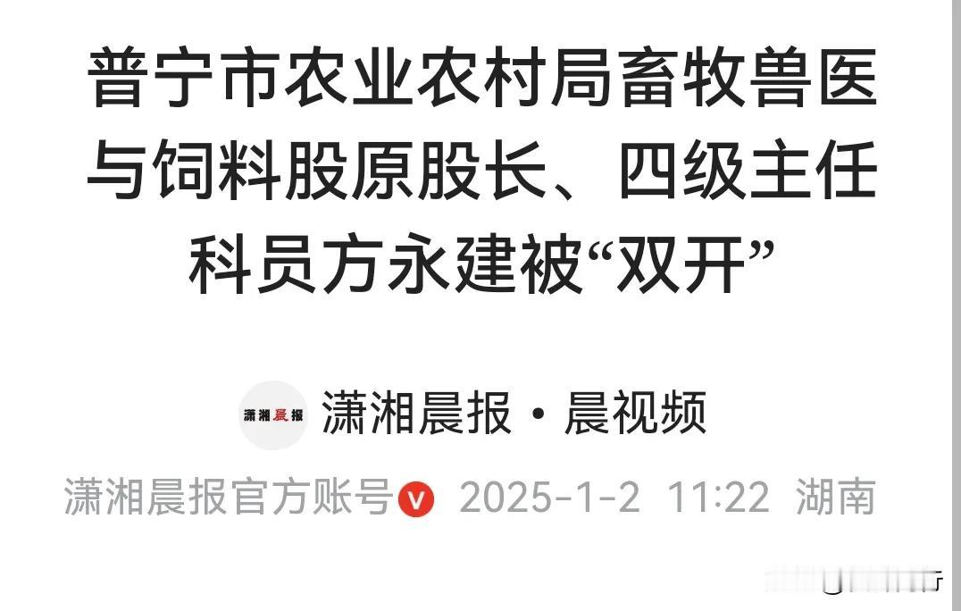 今天是1月2日，继续给大家分享拍蝇打虎小故事。您的点赞与关注是我持续创作的最佳动