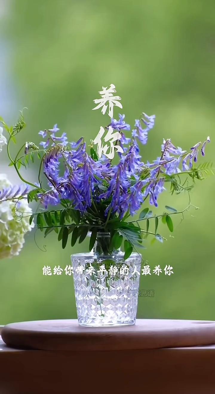 养你。
禅茶思语。
什么人最养你？能给你带来平静的人最养你，能给你带来心安，让你