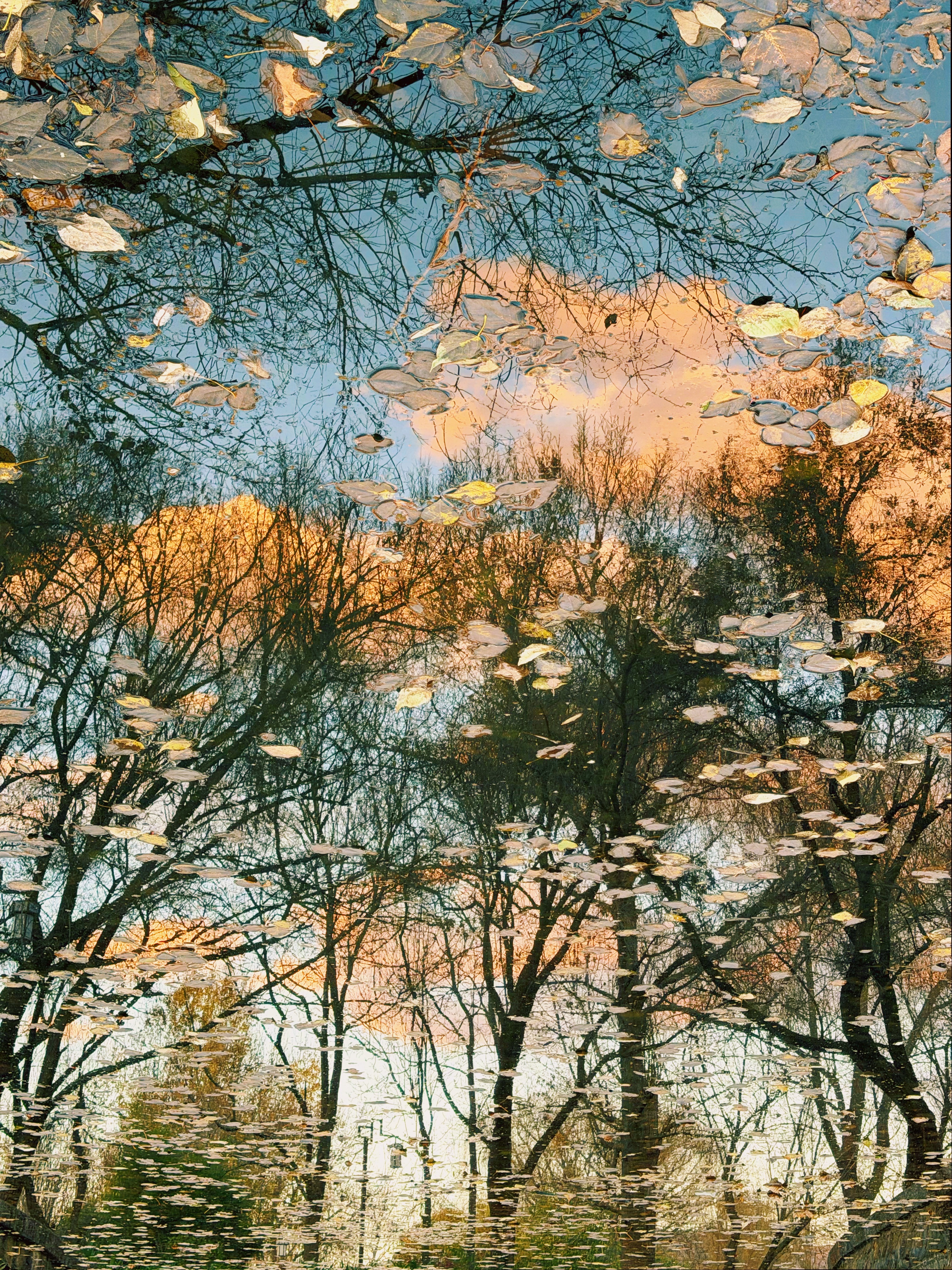 人类被“痛苦”的清晰神经编码驱动着逃避和麻木，却被“幸福”的概念化伪知误导着方向