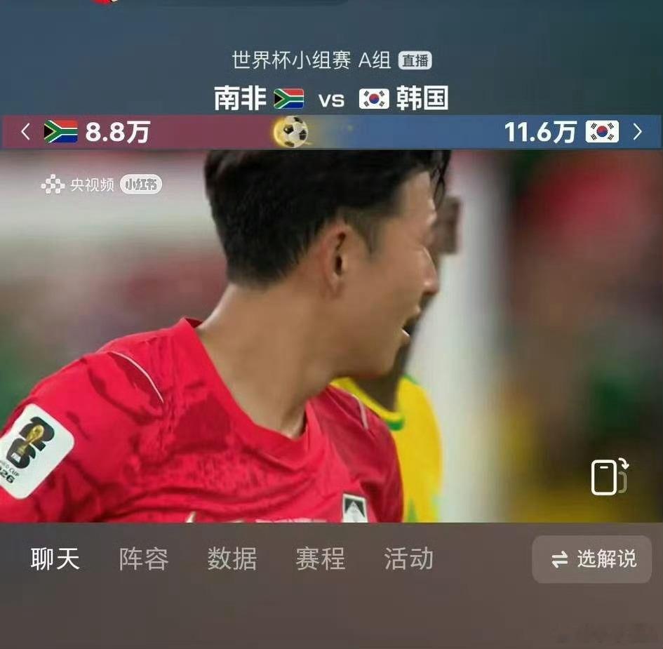 厄瓜多尔vs德国来看球赛。 