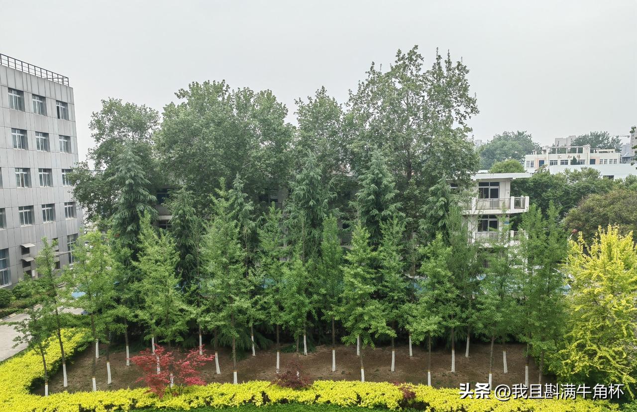 上联：镜中白发知多少
下联：有请假[玫瑰][玫瑰][玫瑰]