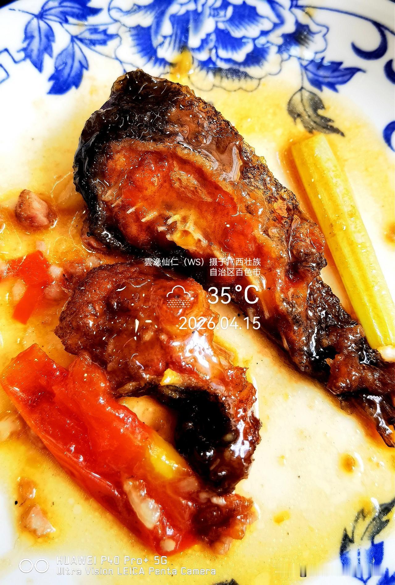 旅居生活记录（9520）广西壮族自治区百色市（205）品尝小吃53：灵马鲶鱼（3