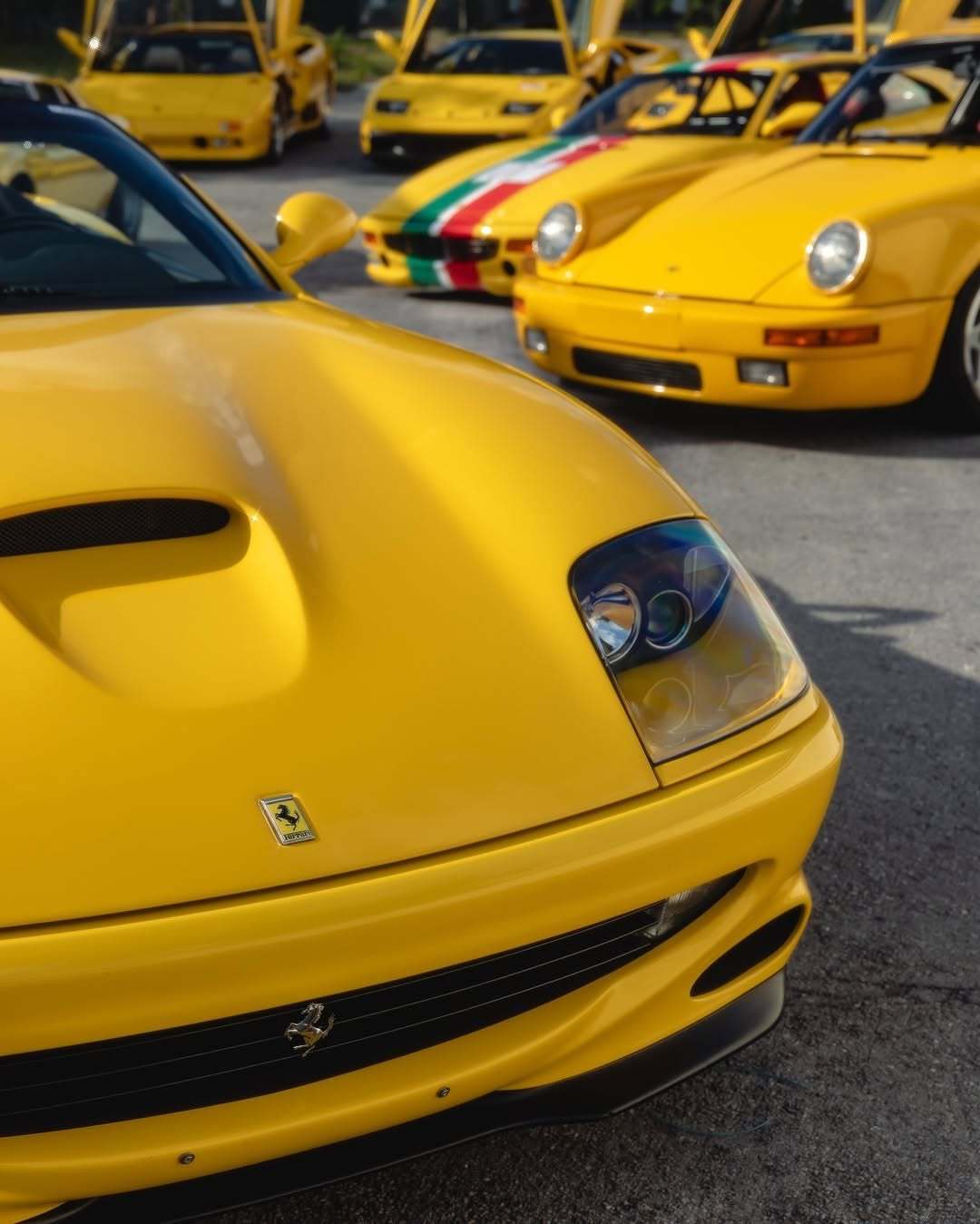 sscs图集Yellow