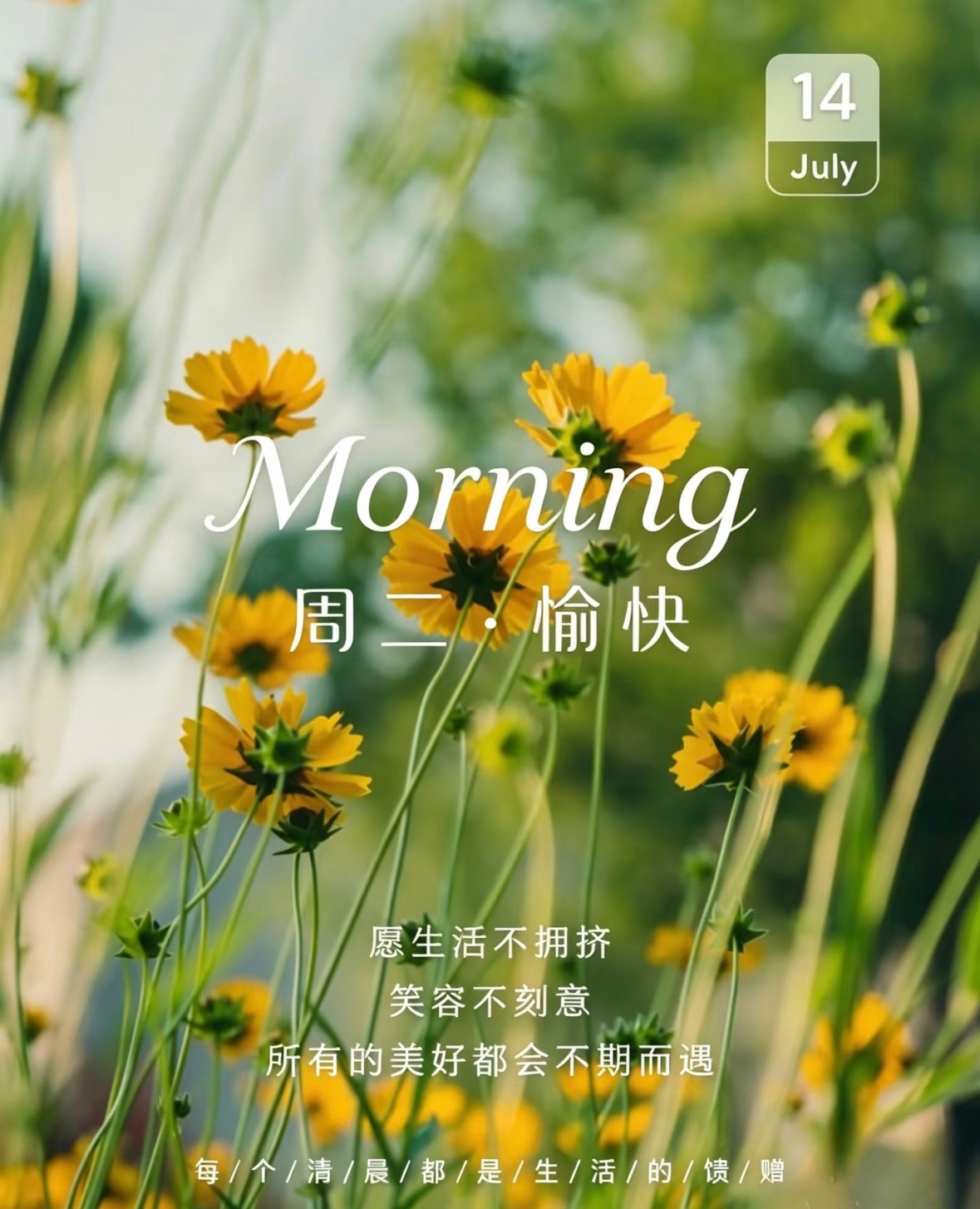 愿生活不拥挤，笑容不刻意，所有的美好都会不期而遇。周二火热开启，早上好🌷生活手