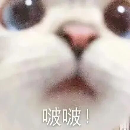 今日商务汇总（14日）康师傅冰红茶网页链接雪花啤酒勇闯天涯网页链接阿道夫网页链接