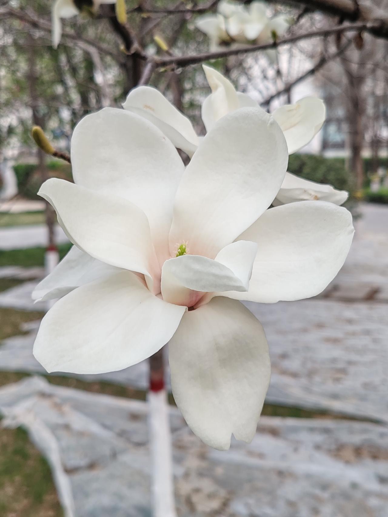 随礼应遵循社会风俗，或心里感受。不不能用等级衡量。在现实生活中，很多人却陷入了用