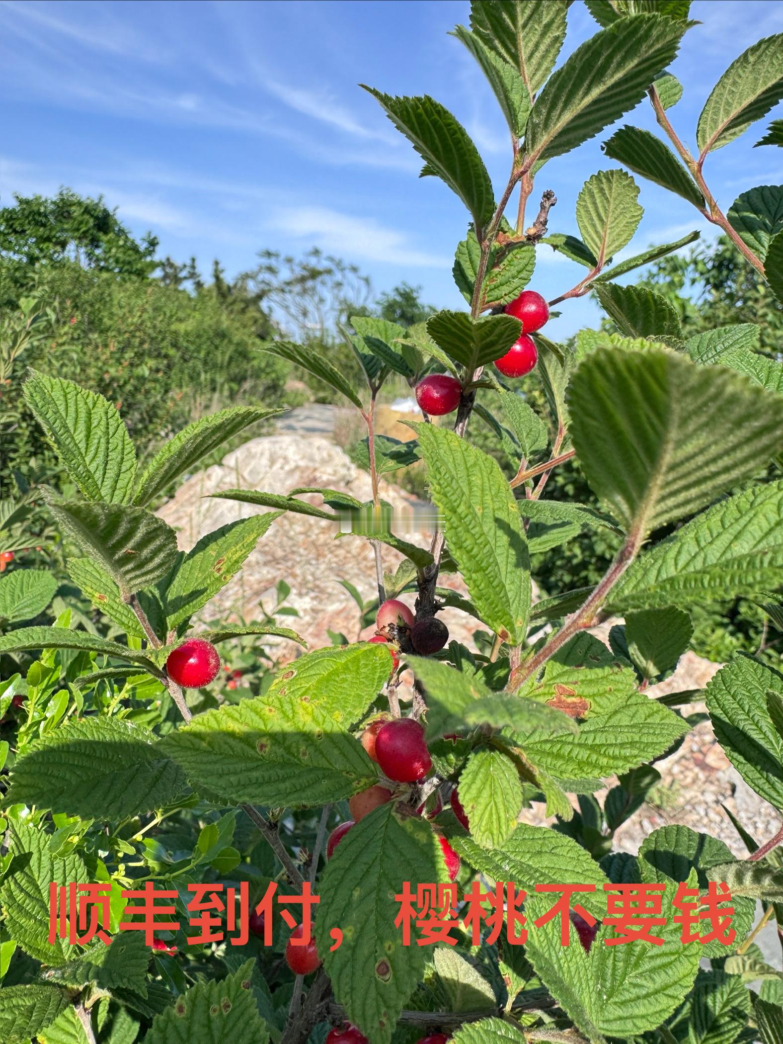 如果你不是站在光里今天依旧是光着站在那里