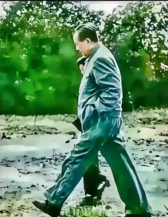 让各位开开眼：什么叫龙行虎步！什么叫英姿飒爽！#转发接龙开新年# ​ 