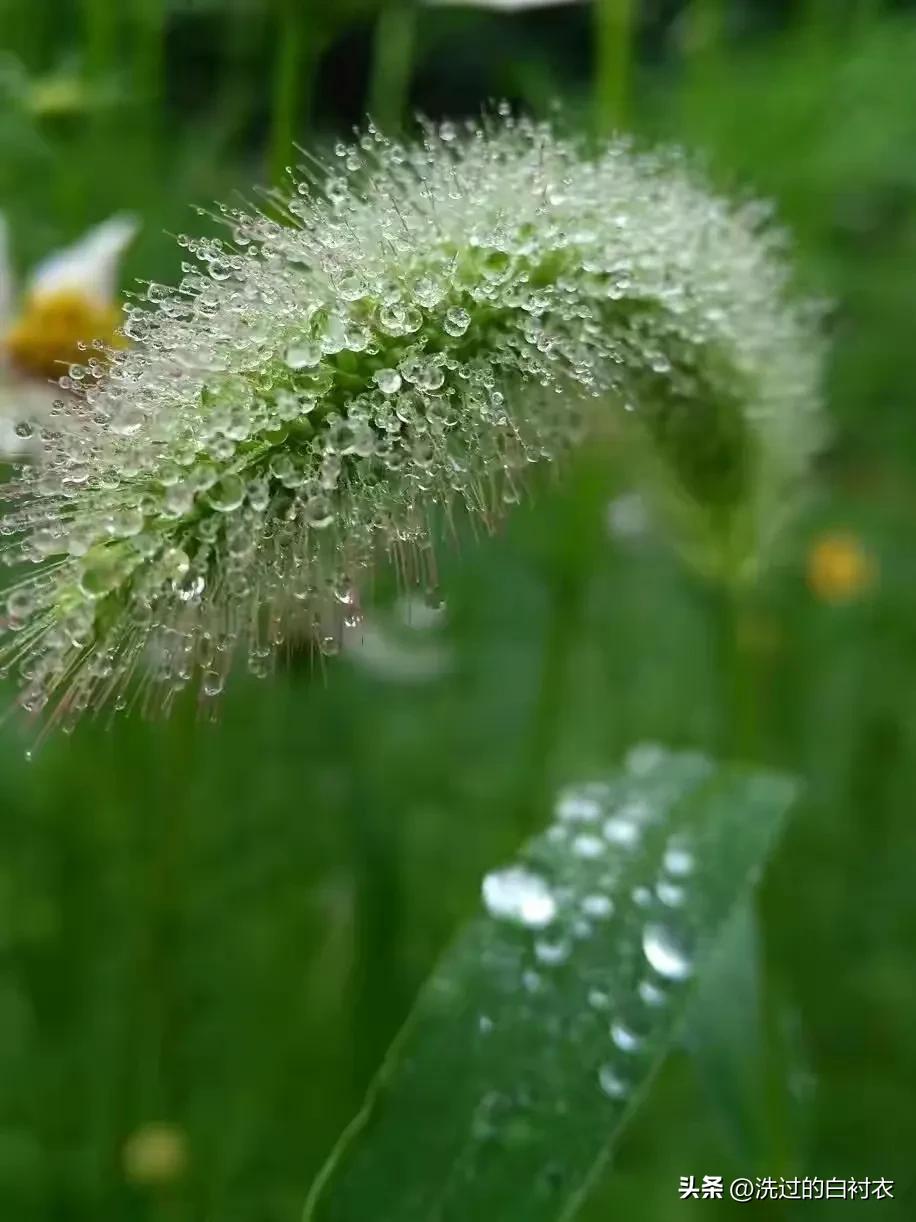早晨起床的时候，天空就下起了淅淅淅沥沥的雨。不大、不缓但也不急。这雨下的娇娇弱弱