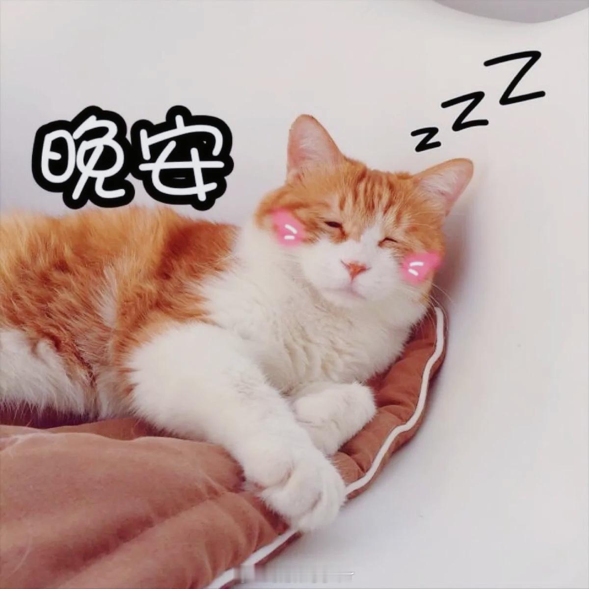 晚安唔西迪西，晚安玛卡巴卡，晚安依古比古，晚安汤姆布利波，晚安小点点，晚安叮叮车