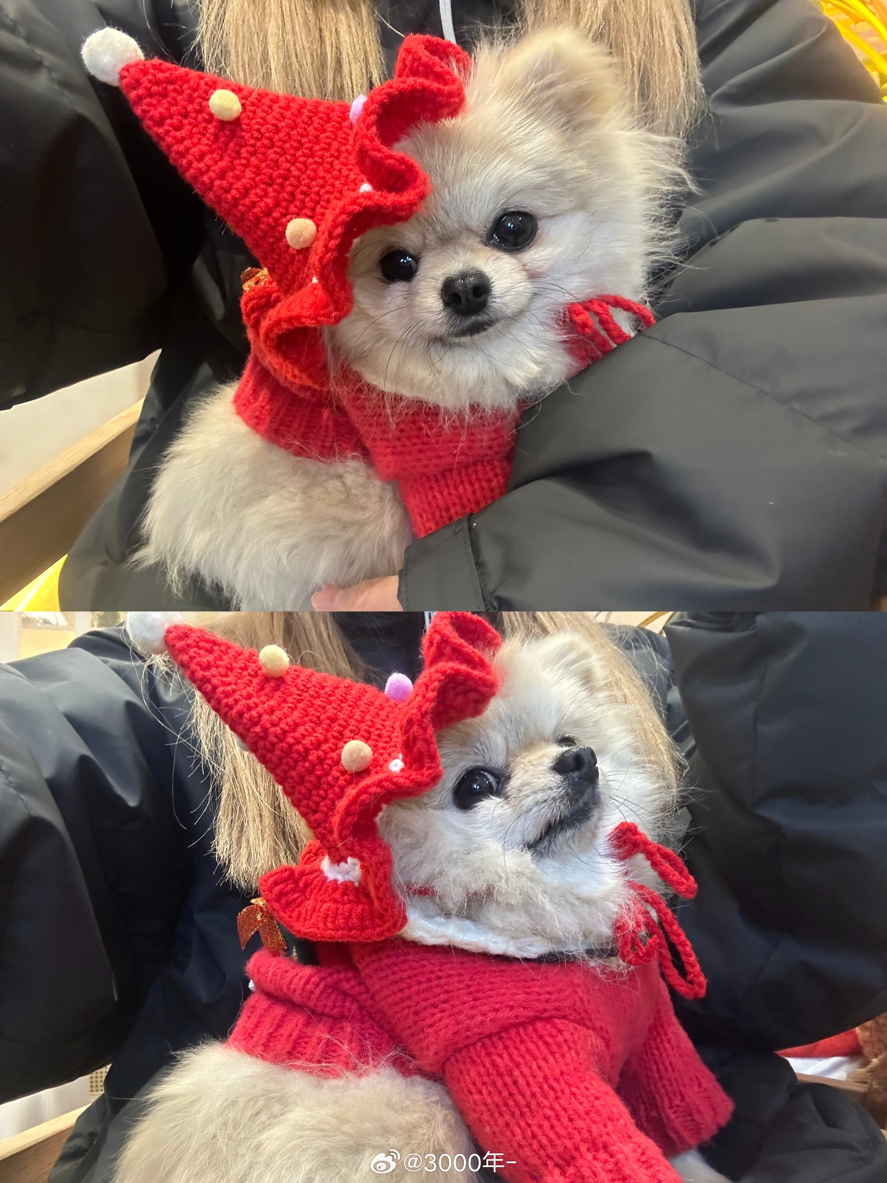 暖暖の冬🧦🍒🐾🎄 ​​​