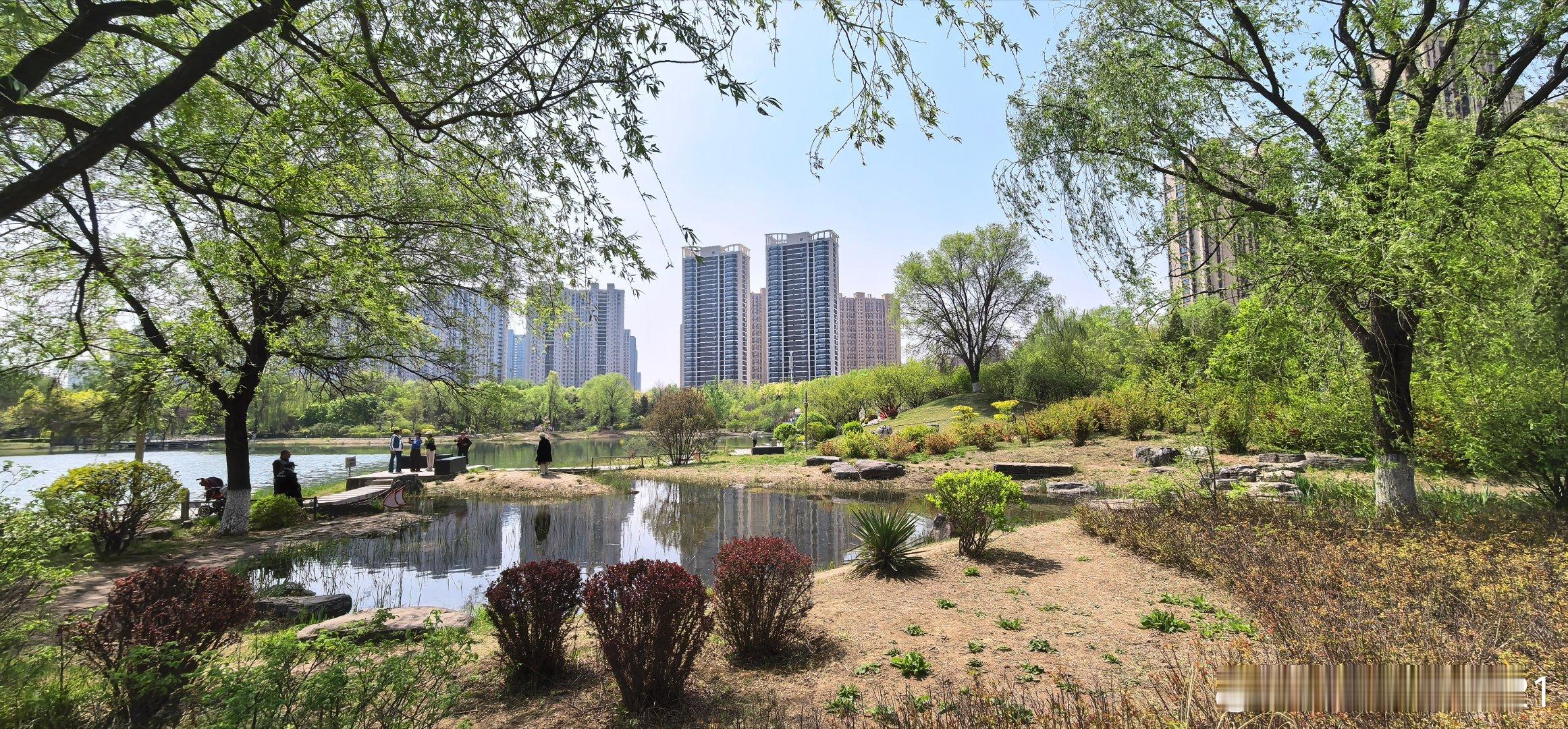 此刻  太原和平公园 