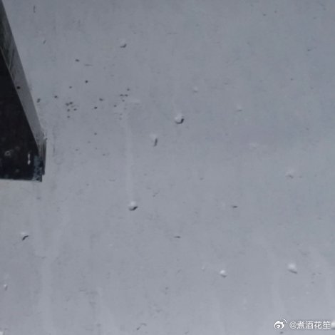 阳光，是前行的火，点亮我们前行的灯；阳光，是前行的灯，照亮我们前行的路，拥有阳光