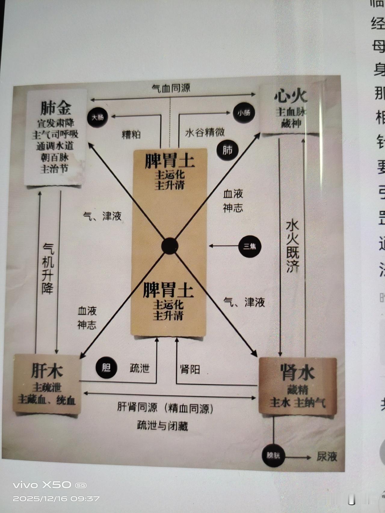 标题：人老养生，记住这3句话
吃饭七分饱，
走路不能少，
心情保持好，
健康活到