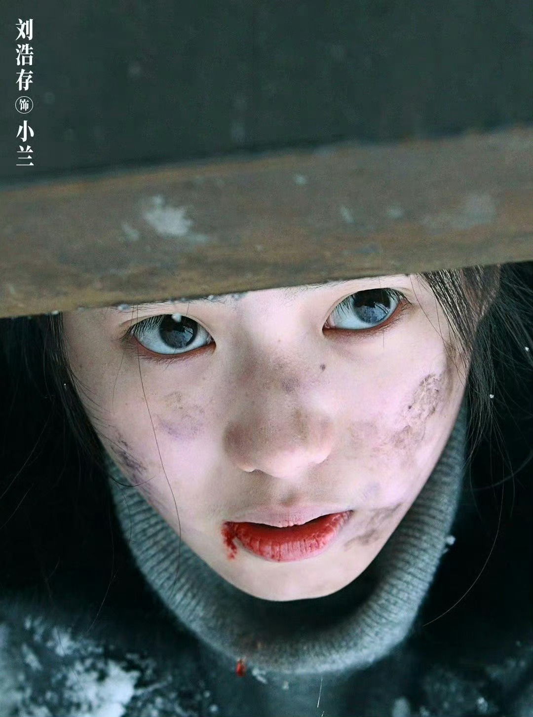 微博之夜 【刘浩存】雪地里，拼尽全力逃脱猎人的抓捕 受了伤的小兽 