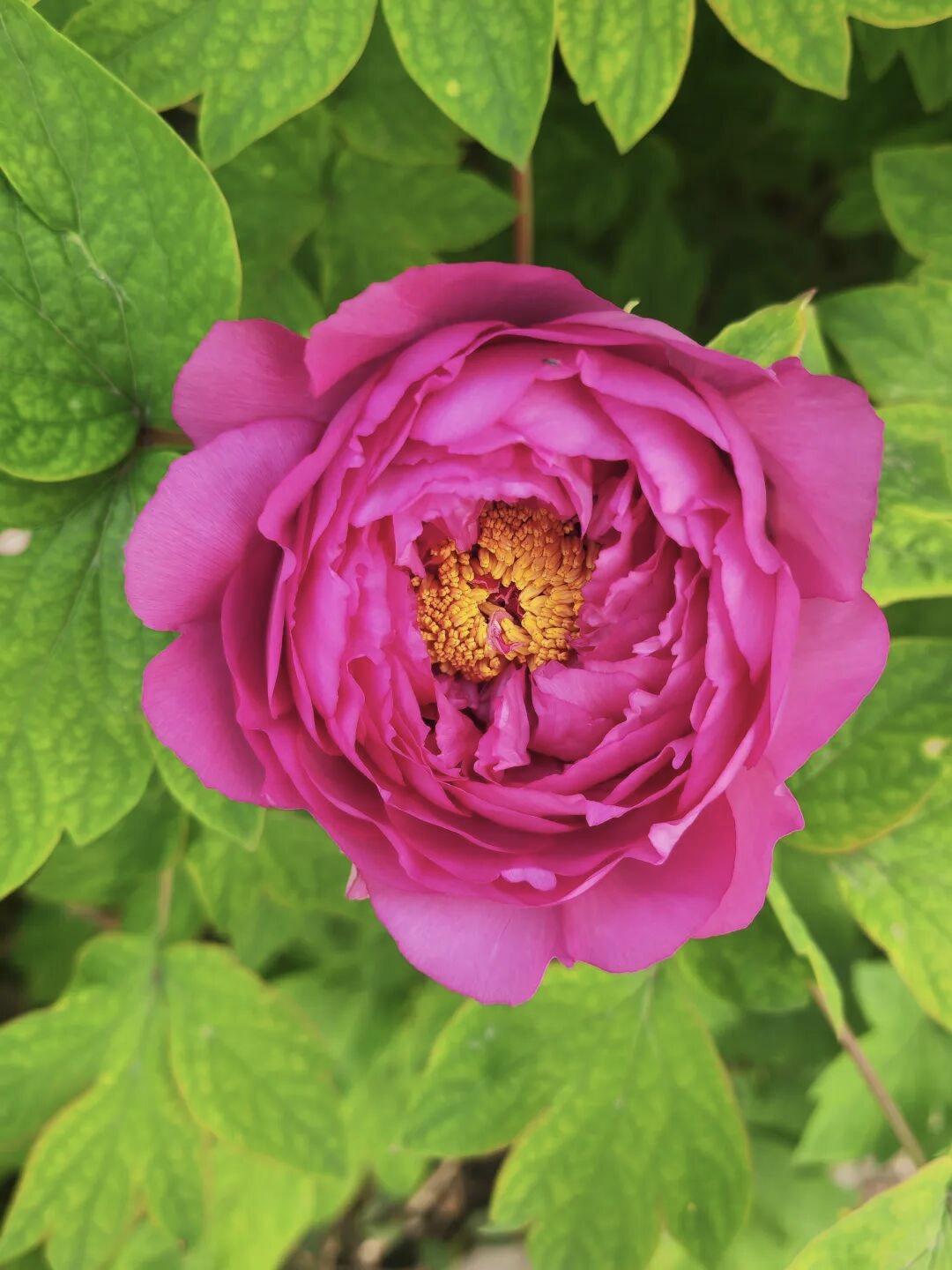 晒出你的本地生活驻马店的环境是越来越好了，哪怕你不开车跑风景点，就在小城市附近逛