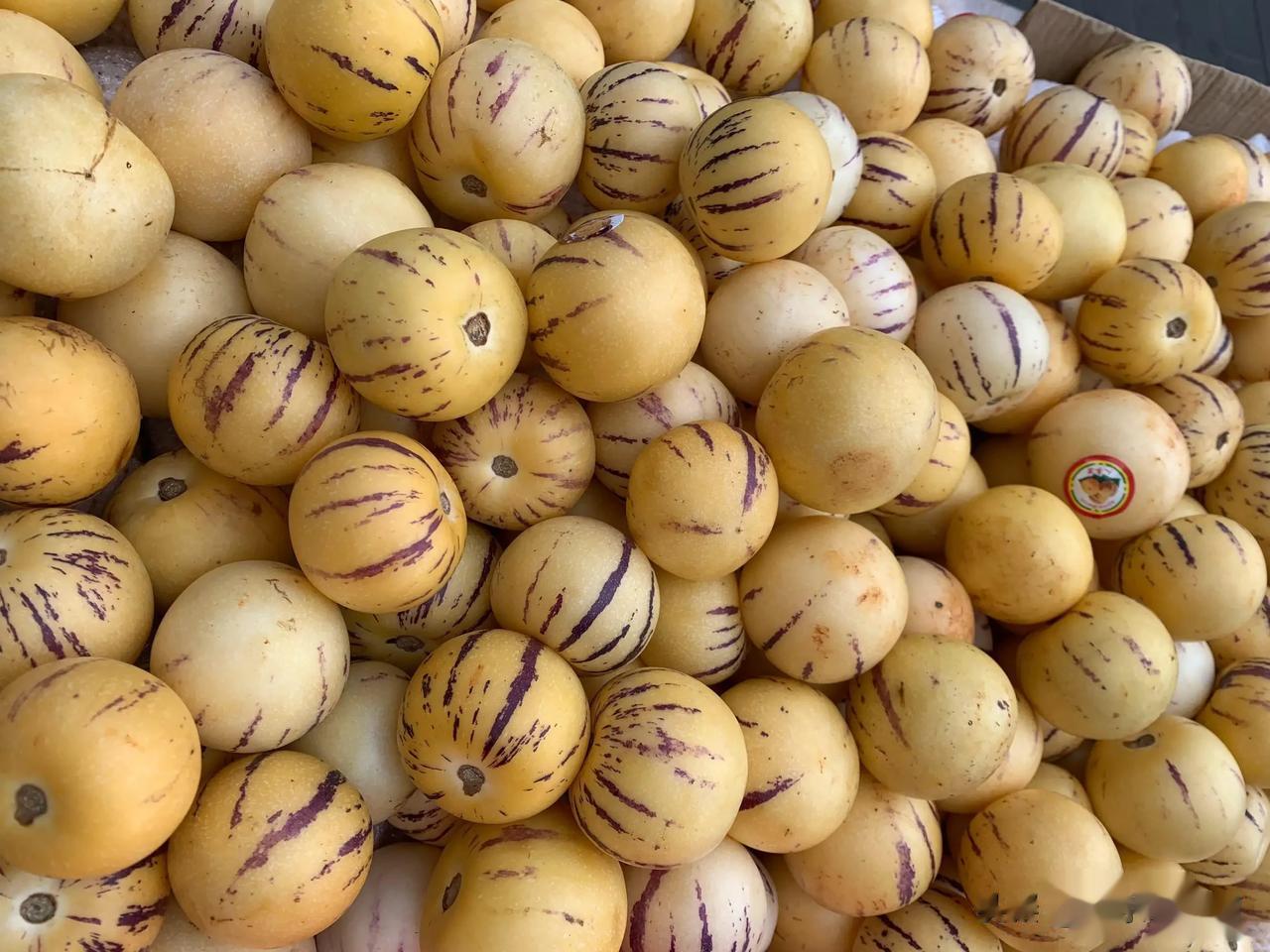 #十月美食录# 
人参果—外形圆头圆脑，外皮淡黄，光滑而透亮，紫色的花纹点缀其中