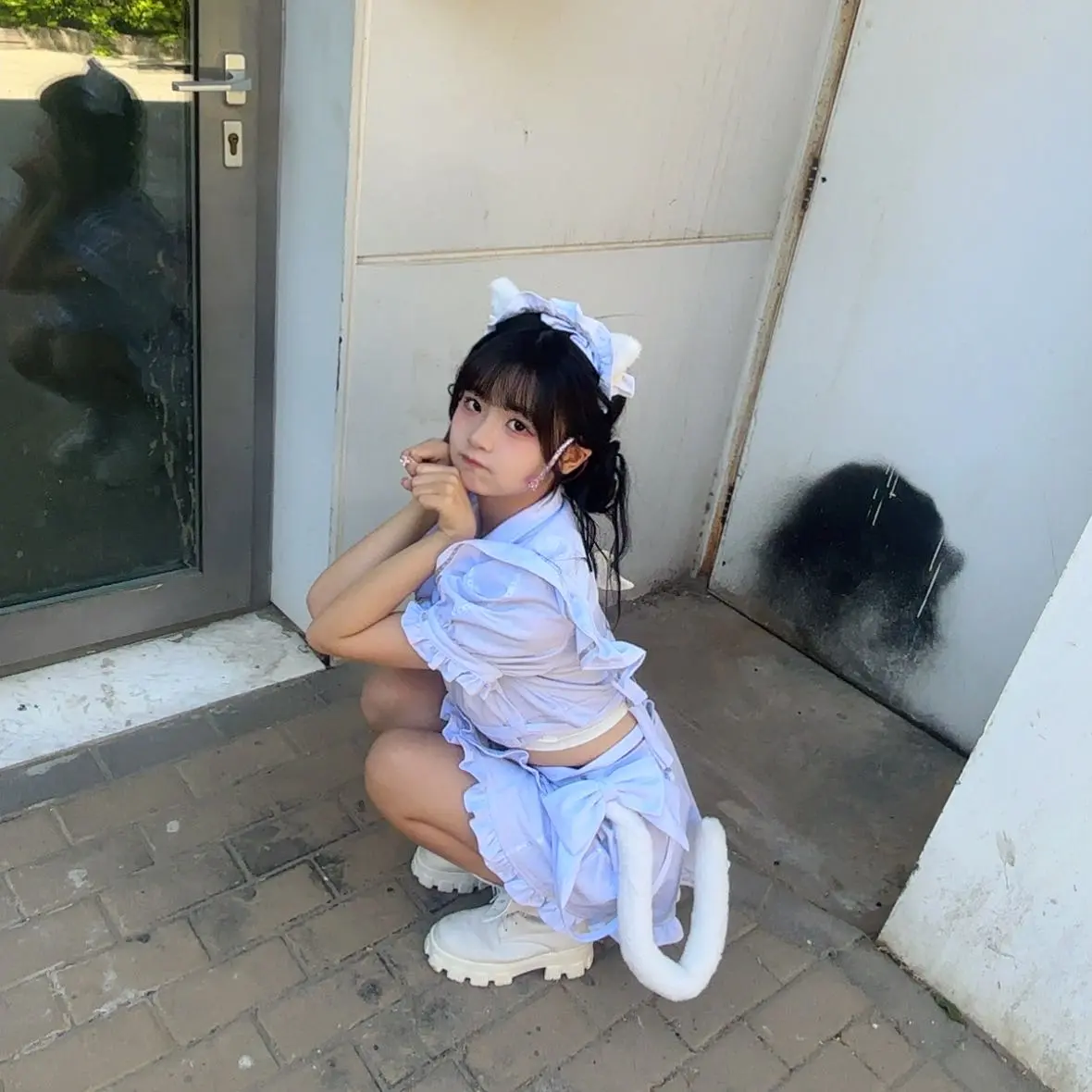 发现一只小猫