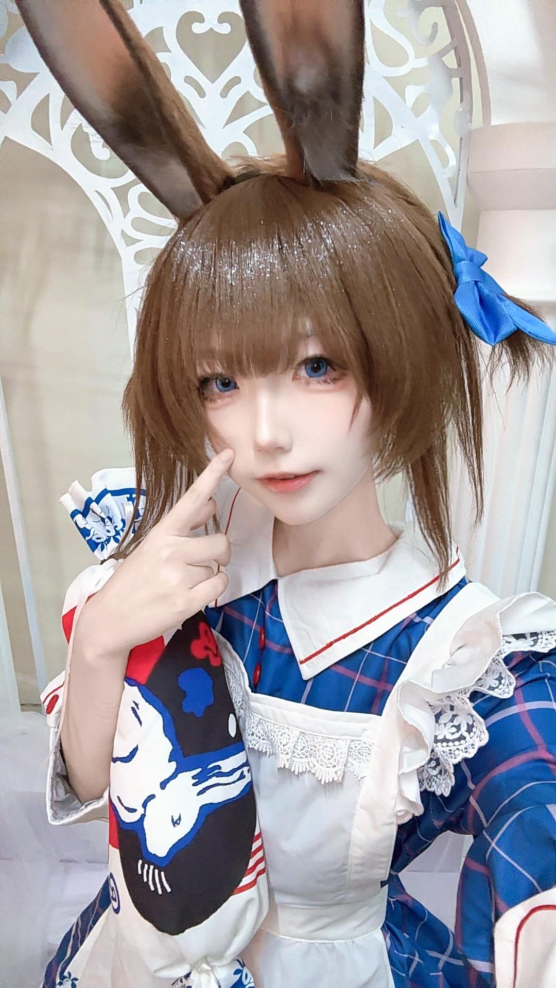 大白two(●'◡'●)兔兔