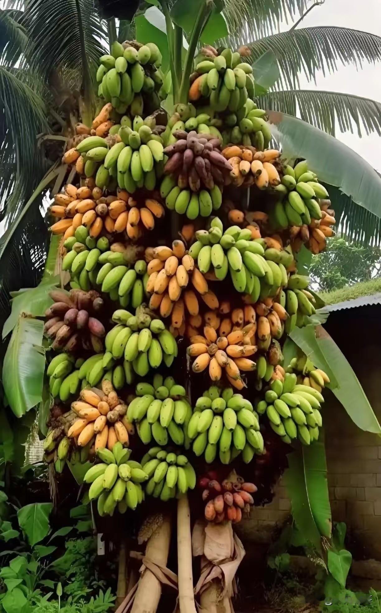 别让“小事”消耗自己
小事不等于无害，拖延才是隐形消耗

那些被你一拖再拖的“举