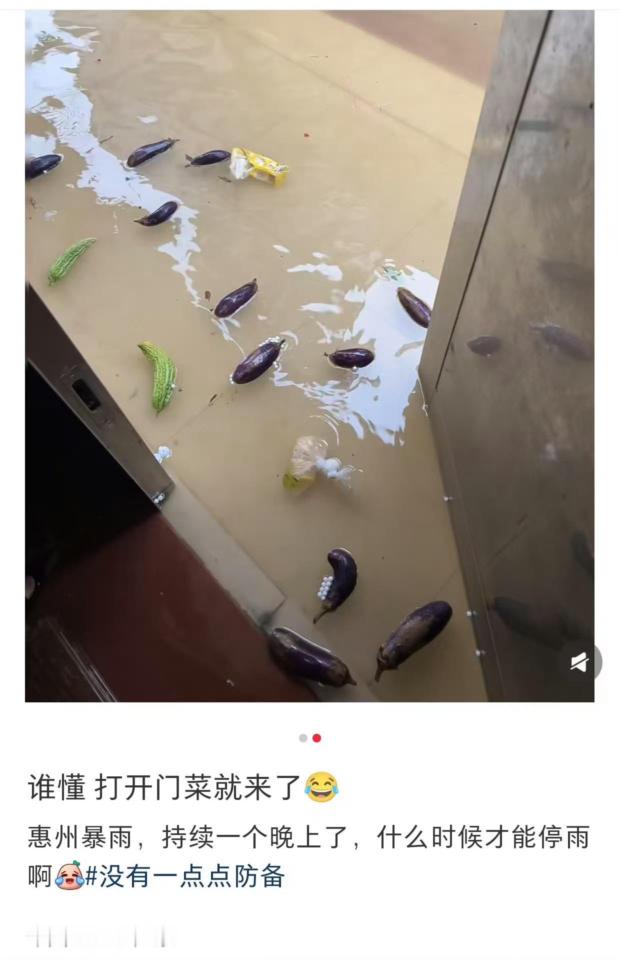深圳暴雨后路面现大量罗非鱼哈哈，菜有了，🐟有了，晚上可以凑一桌了[偷笑] ​​