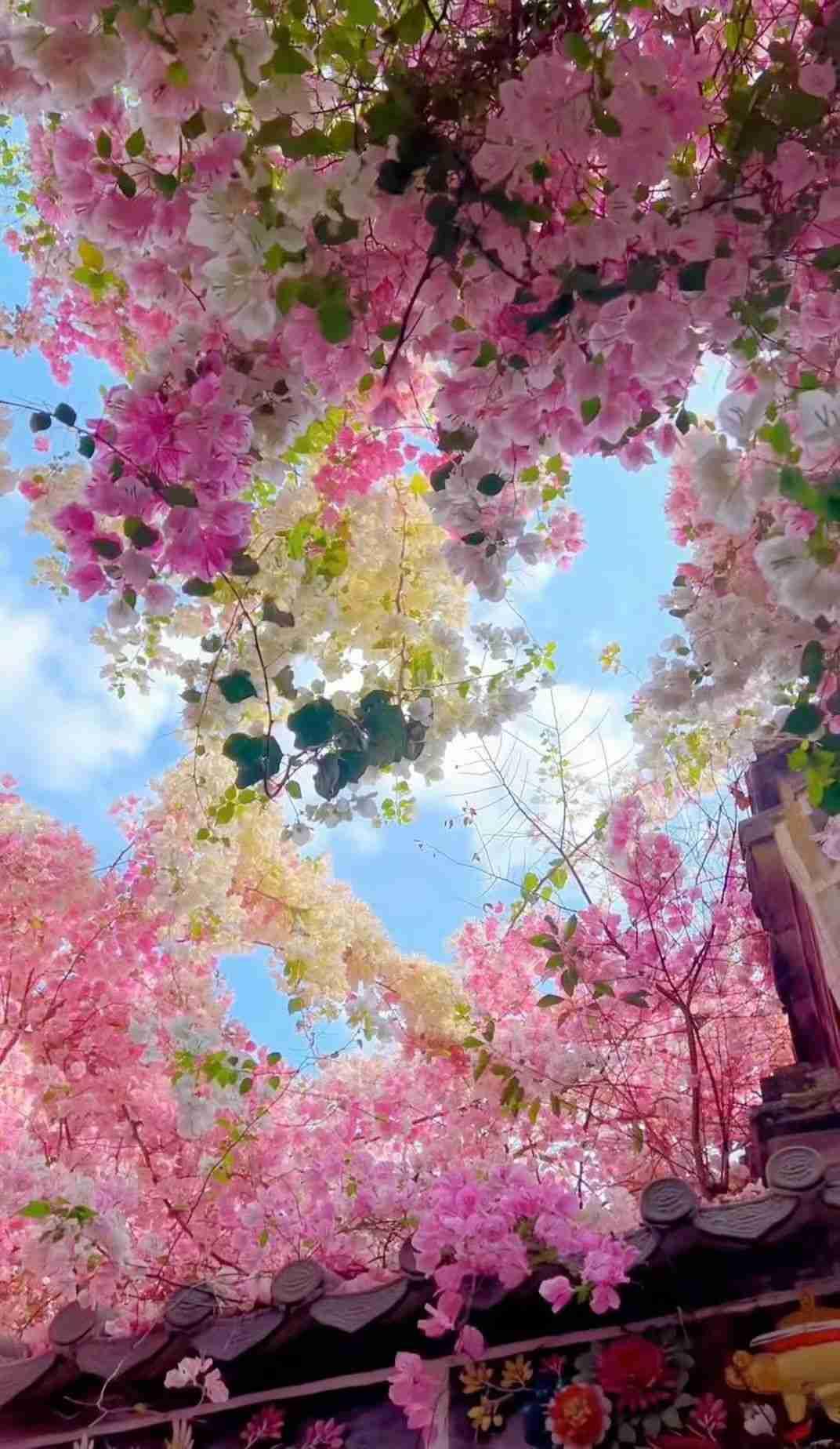 我的今日状态：😁轻松愉快
我这里的天气：☀️晴天